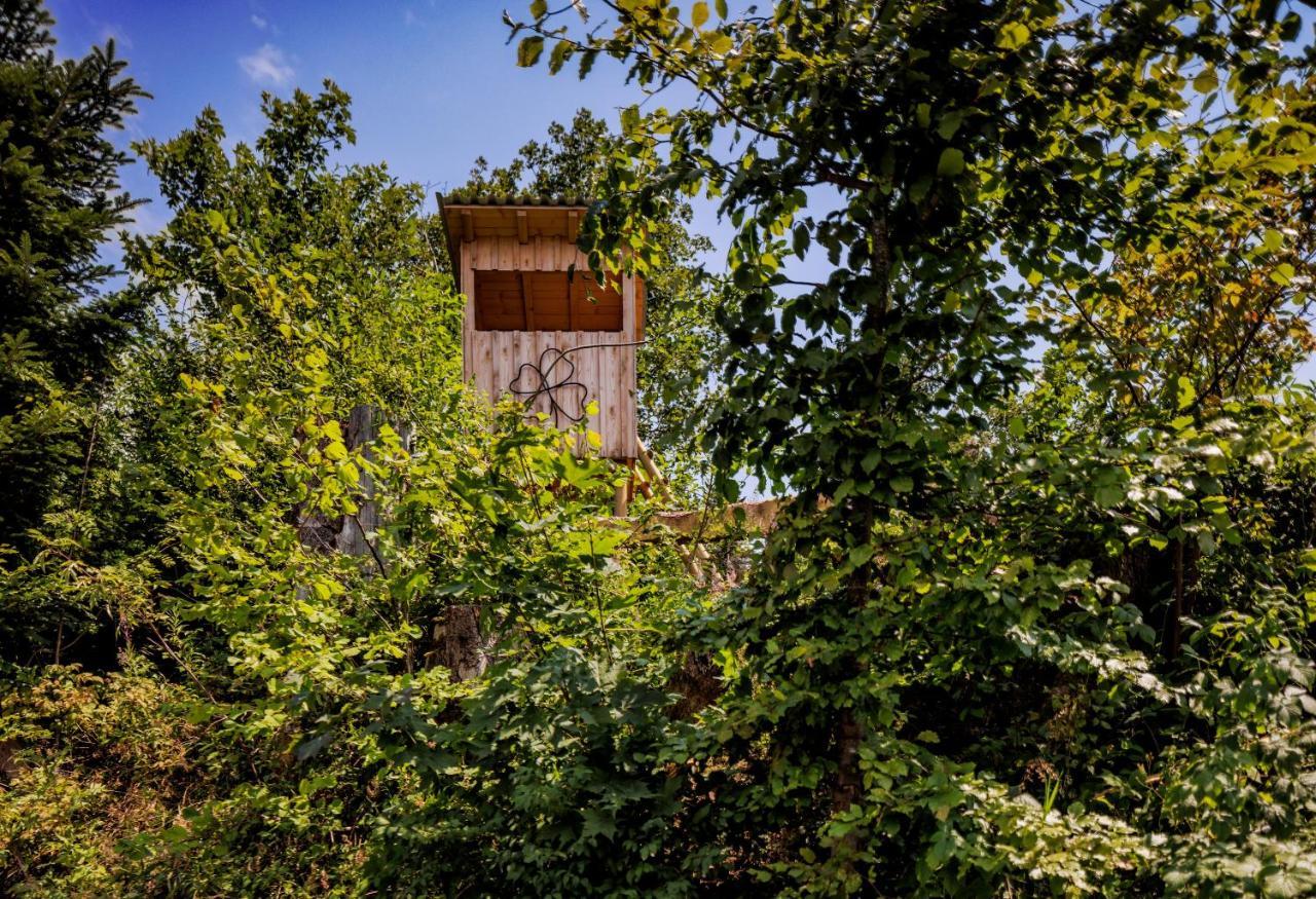Pfaenderglueck Villa Lochau Bagian luar foto